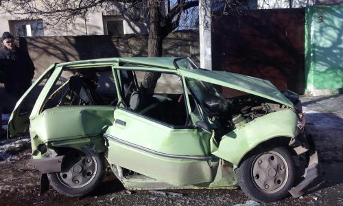Фото до матеріалу: Звенигородські кікбоксери здобули 8 золотих медалей на обласному чемпіонаті