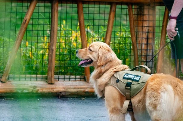 Фото до матеріалу: Що святкують 29 квітня 2026 року: від історії футболу до міжнародних днів