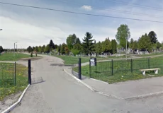 Фото до матеріалу: Грязьова терапія по-свинськи: у лісі на Шепетівщині помітили незвичайний «SPA-ритуал» (Відео)