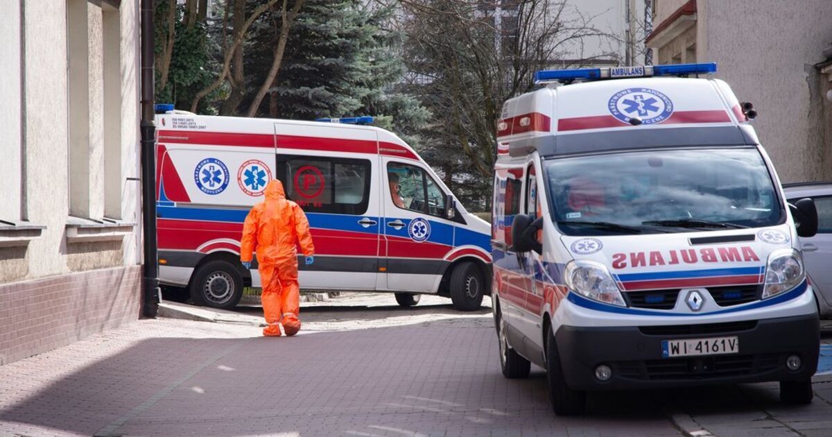 Фото до матеріалу: У Польщі зафіксували перший випадок карантину через хантавірус