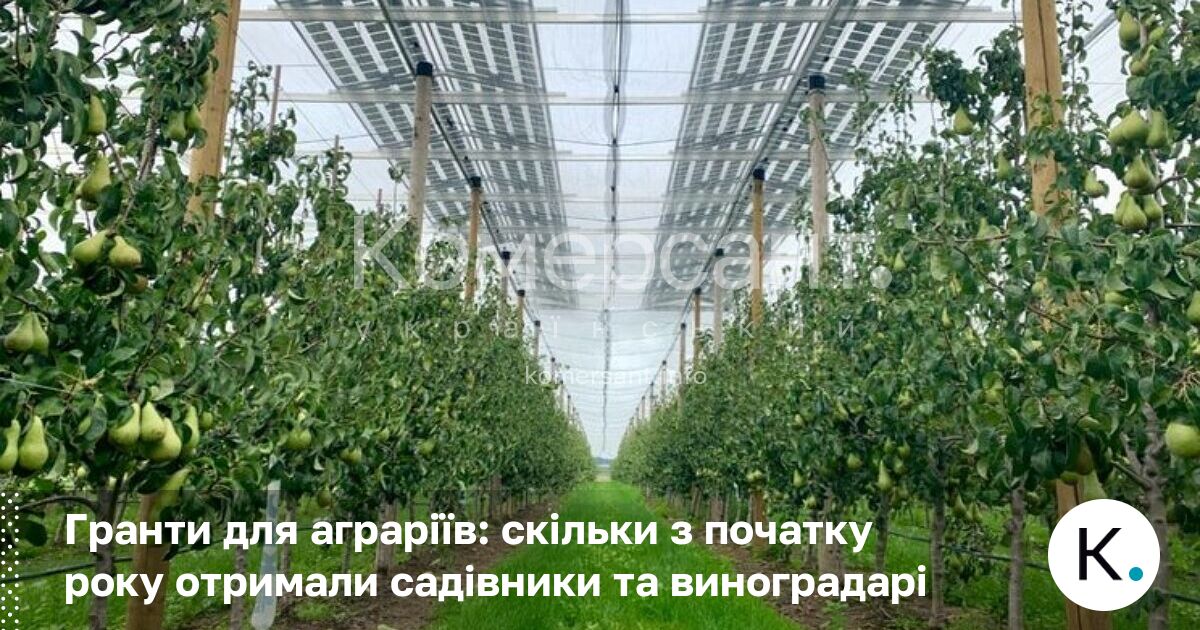 Фото до матеріалу: Гранти для аграріїв: 14 підприємств отримали понад 70 млн грн на розвиток садівництва та теплиць