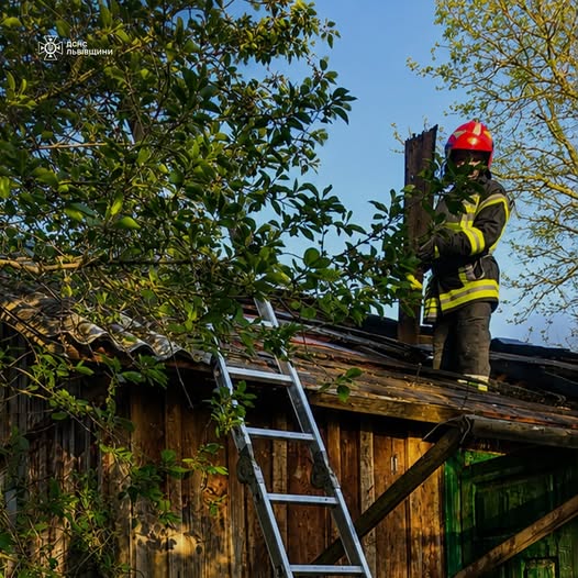 Фото до матеріалу: У Львівському дитсадку виявили спалах сальмонельозу: причина знайдена
