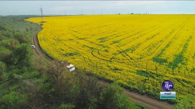 Фото до матеріалу: У Визирській громаді з 1 по 5 травня оброблятимуть поля ріпаку