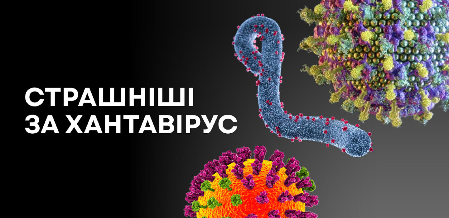 Фото до матеріалу: Хантавірус — смертельно небезпечний, але наступну пандемію очікують не від нього