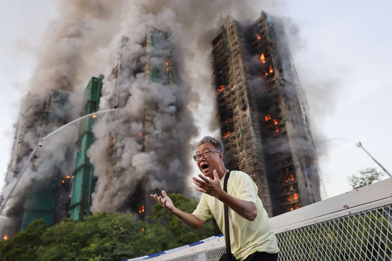 Фото до матеріалу: Ведмедиця їсть кашалота і ялинка у вогні: World Press Photo 2026
