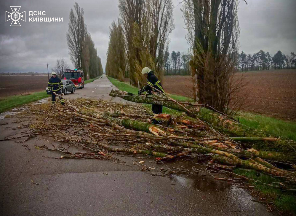 Фото до матеріалу: Екологічне лихо: що відбувається на Київщині, - ФОТО