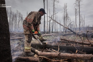 Фото до матеріалу: Росія обстріляла 37 населених пунктів Херсонщини: троє постраждалих
