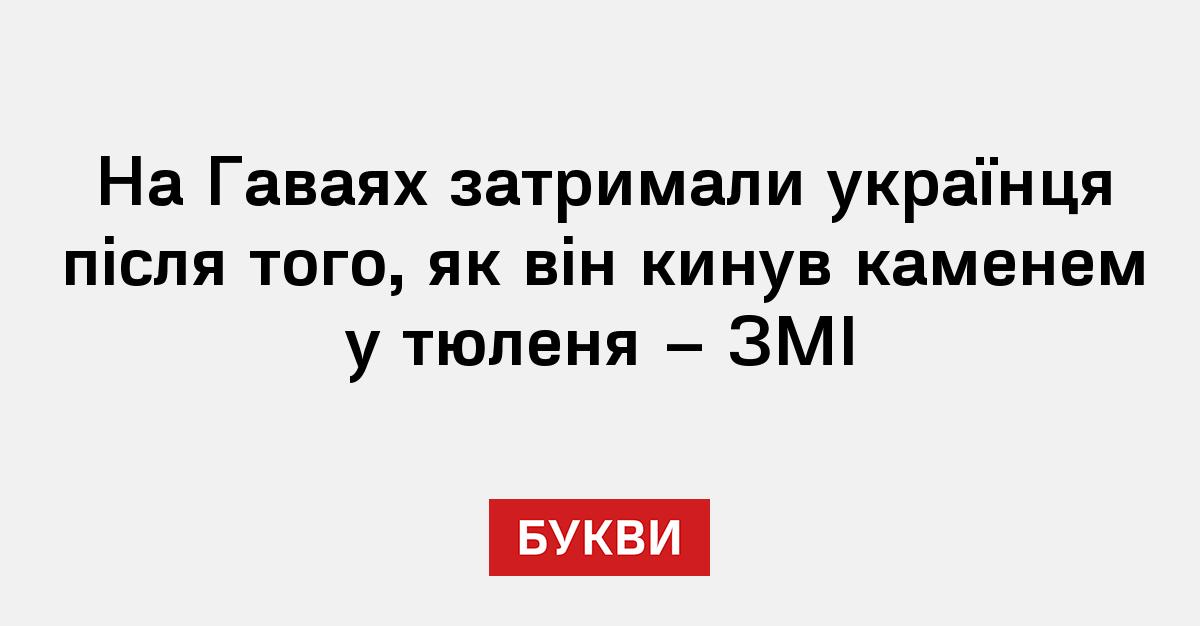 Фото до матеріалу: У США затримали українця, який кидав каменем у гавайського тюленя-монаха