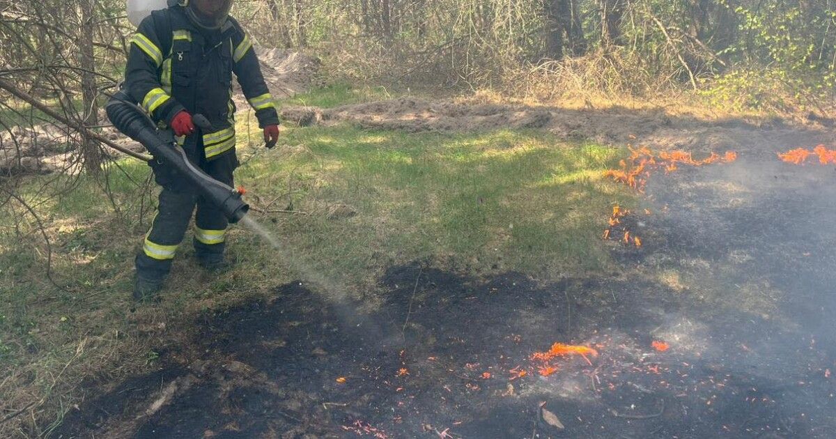 Фото до матеріалу: Вогонь міг знищити природні скарби: на Волині через куріння горів ліс