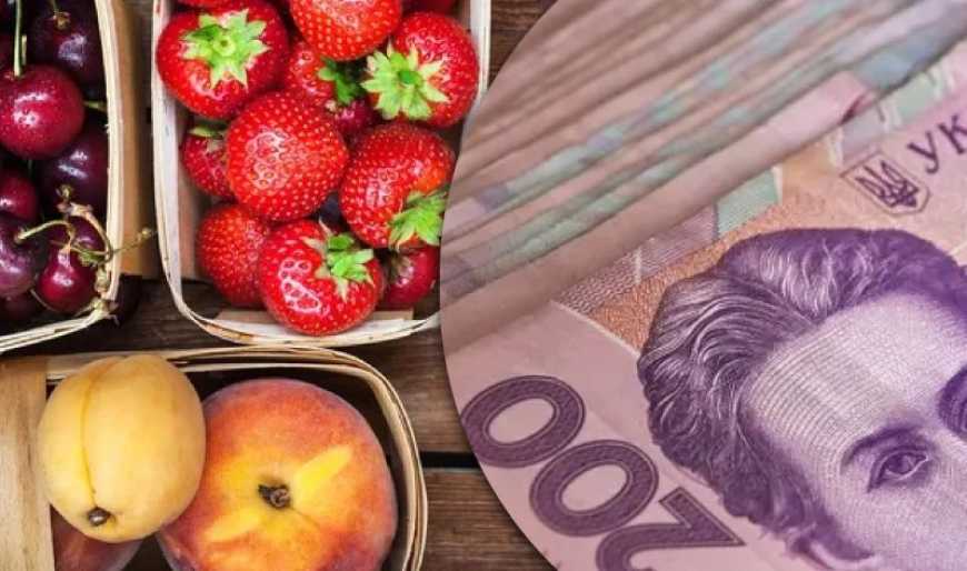 Фото до матеріалу: Ягідники України стикаються з подорожчанням виробництва та ризиком заморозків у сезоні 2026