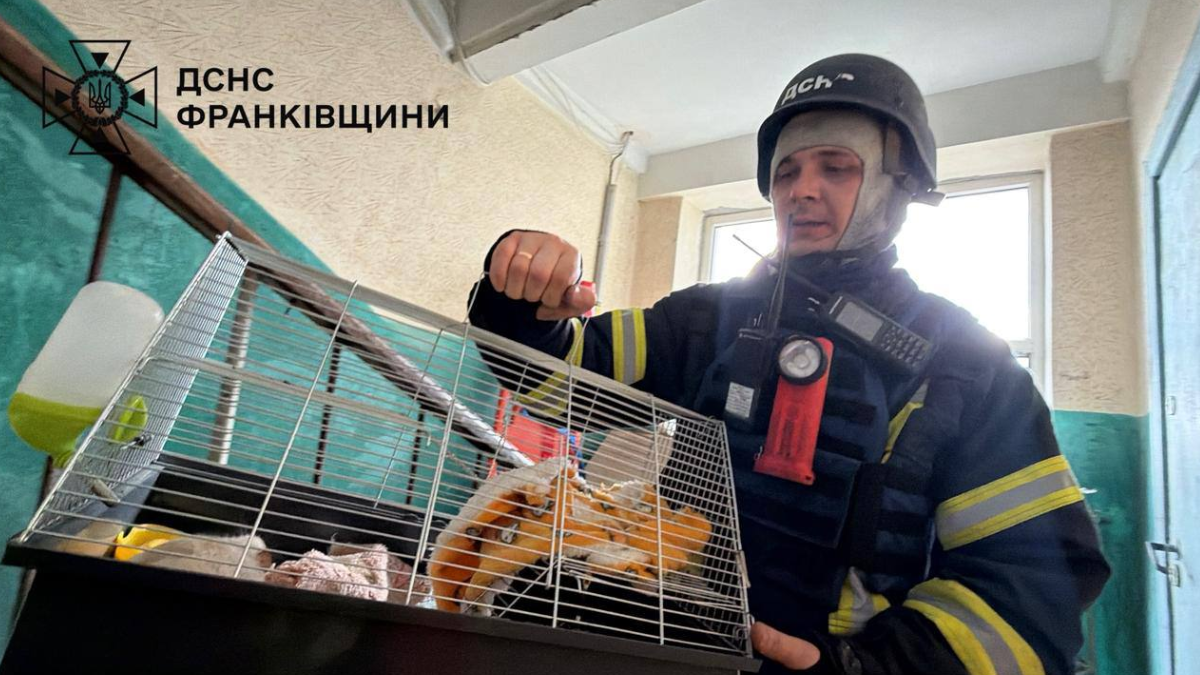 Фото до матеріалу: У Франківську внаслідок ворожої атаки спалахнула пожежа у багатоповерхівці (ФОТО)