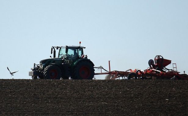 Фото до матеріалу: Аграрії України вже засіяли п'яту частину планових площ під зернові культури