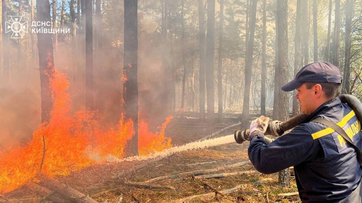 Фото до матеріалу: Ліквідація масштабної пожежі в Чорнобильській зоні: вогонь охопив 1200 гектарів