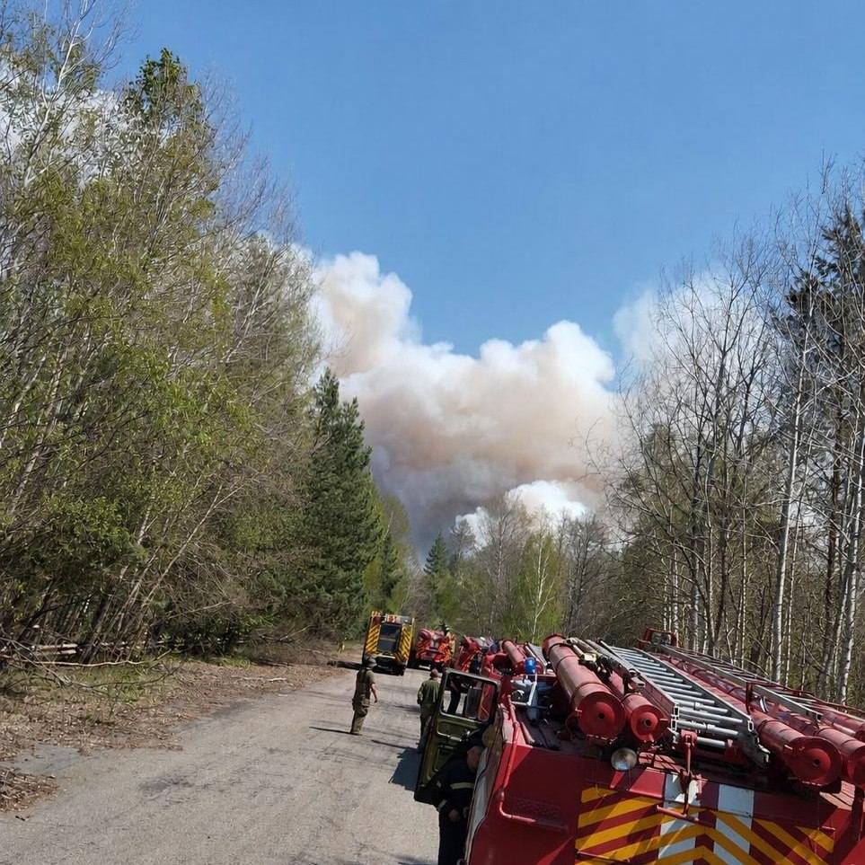 Фото до матеріалу: Ліквідували пожежу у Чорнобильському заповіднику після майже тижня гасіння