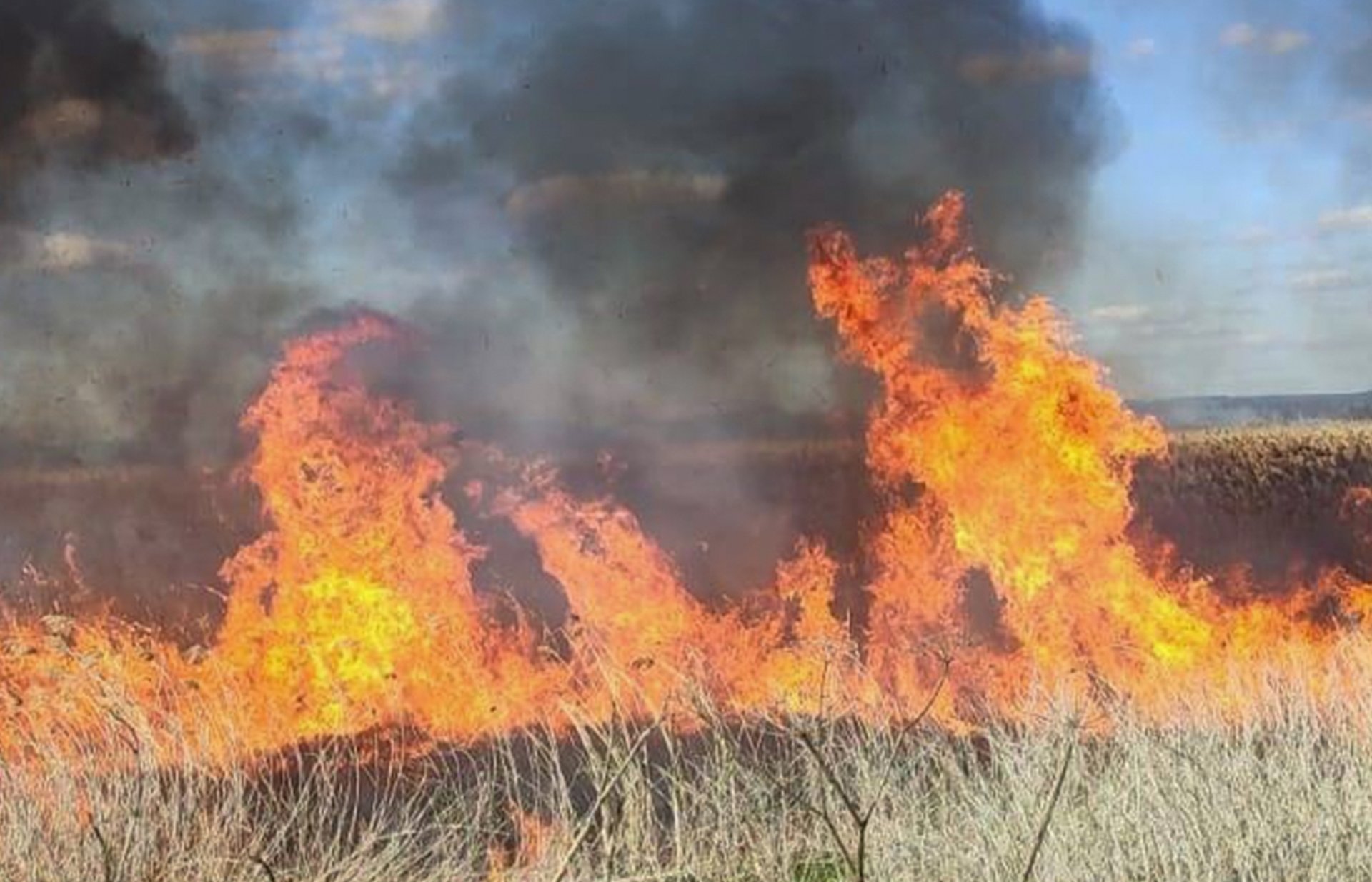 Фото до матеріалу: 18 пожеж за добу на Львівщині: 2 га землі втрачено, ДСНС попереджає