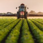 Фото до матеріалу: Людмила Іваницька здобула золото на Міжнародному шаховому турнірі Mitropa Cup 2026