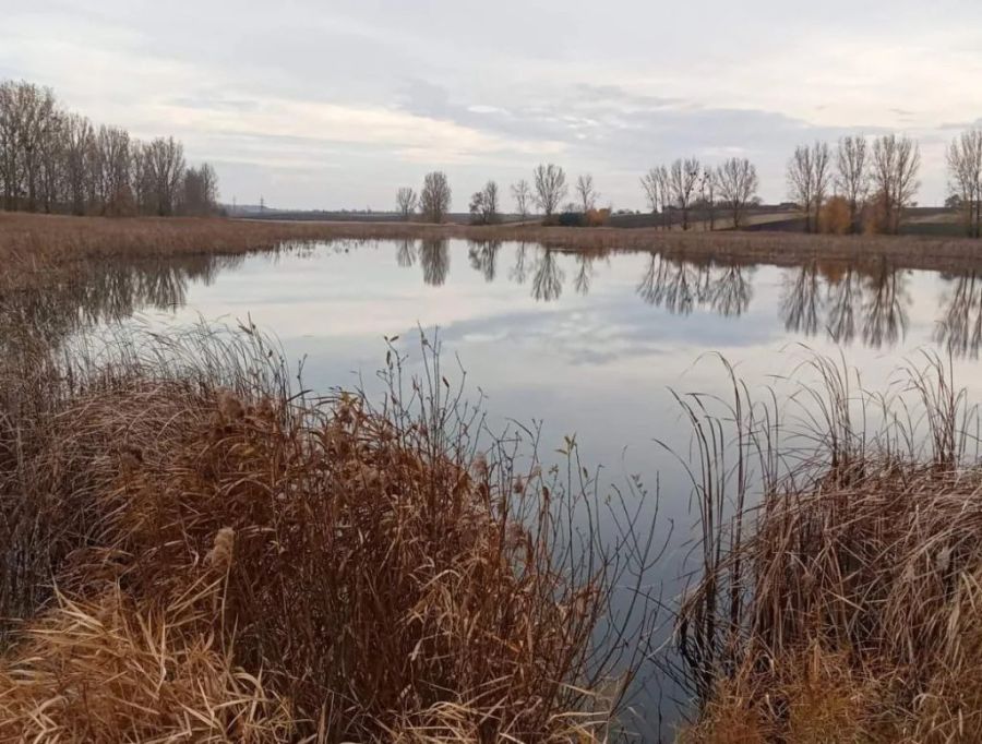 Фото до матеріалу: Суд звільнив чоловіка за незаконне викопування ставка біля річки Станківка у Калуші