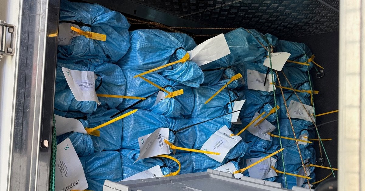 Фото до матеріалу: Принцеса Анна в червоному пальті: як відзначили річницю коронації Чарльза III