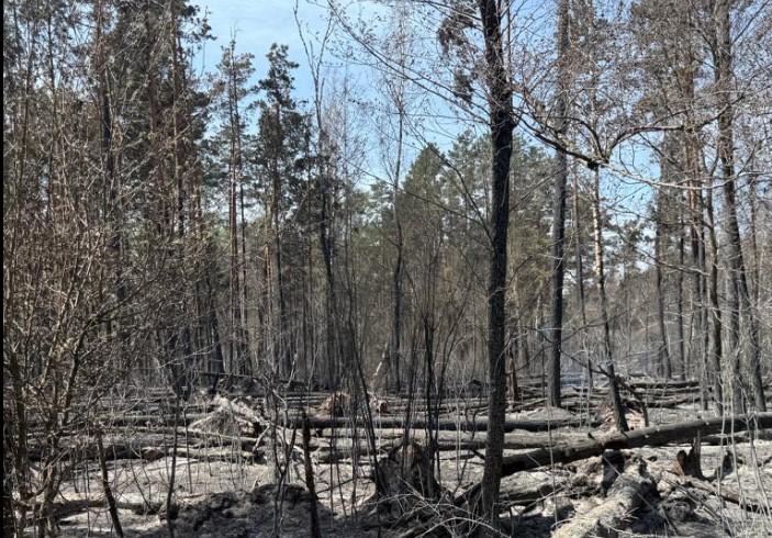 Фото до матеріалу: Масштабна пожежа у Чорнобильському заповіднику: вогонь охопив 1200 гектарів
