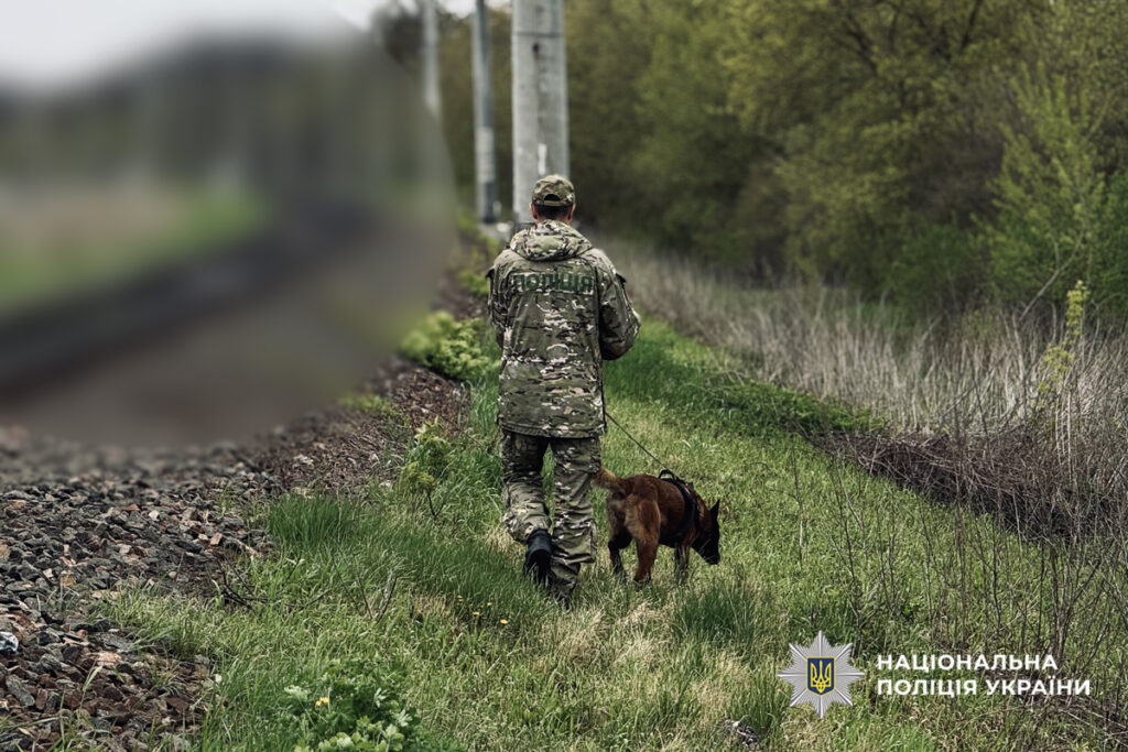 Фото до матеріалу: Нічна пошукова операція на Черкащині: поліція та громада розшукали 12-річного підлітка