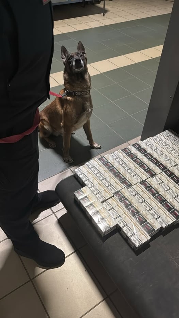 Фото до матеріалу: Прикордонники Львівщини виявили контрабанду косметики і цигарок