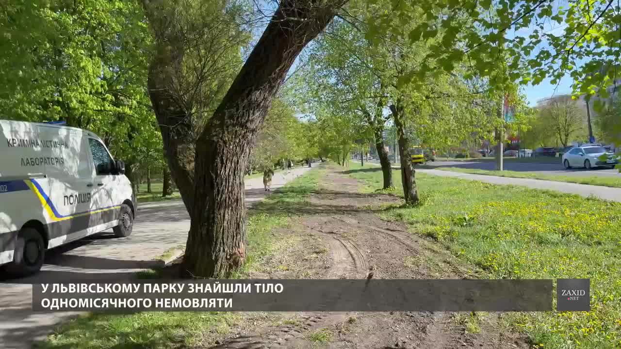 Фото до матеріалу: У парку 700-річчя Львова знайшли тіло двомісячного немовляти