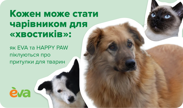 Фото до матеріалу: Клініка в Івано-Франківську стала волонтерським шпиталем «Брасс» для військових