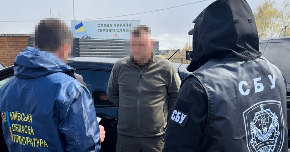 Фото до матеріалу: Коли сіяти огірки у травні 2026 року: несприятливі та вдалі дні для Володимирщини