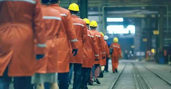 Фото до матеріалу: Парламент має ухвалити новий Трудовий кодекс до кінця сесії: що змінилось і що не подобається профспілкам