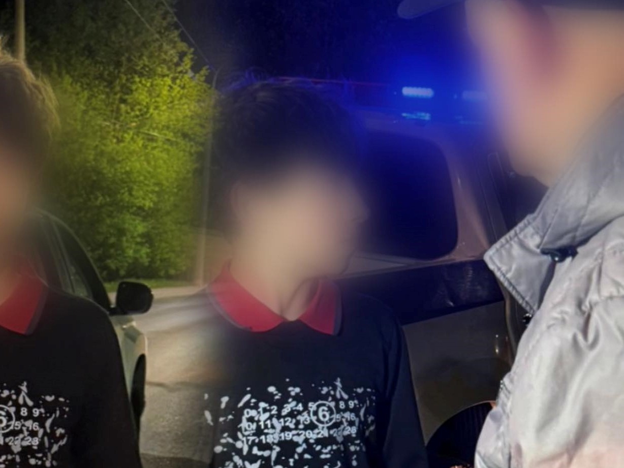 Фото до матеріалу: У Луцьку вирізують понад 100 аварійних дерев у заповідних зонах