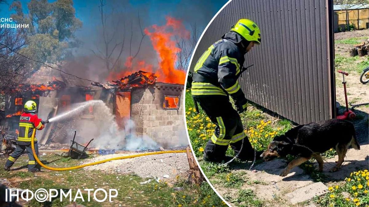Фото до матеріалу: Собаку рятували з вогню в Борисполі: тварина була прикута до ланцюга