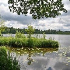 Фото до матеріалу: У Хмельницькому ветеран зірвав погром у ТЦК після затримання сина