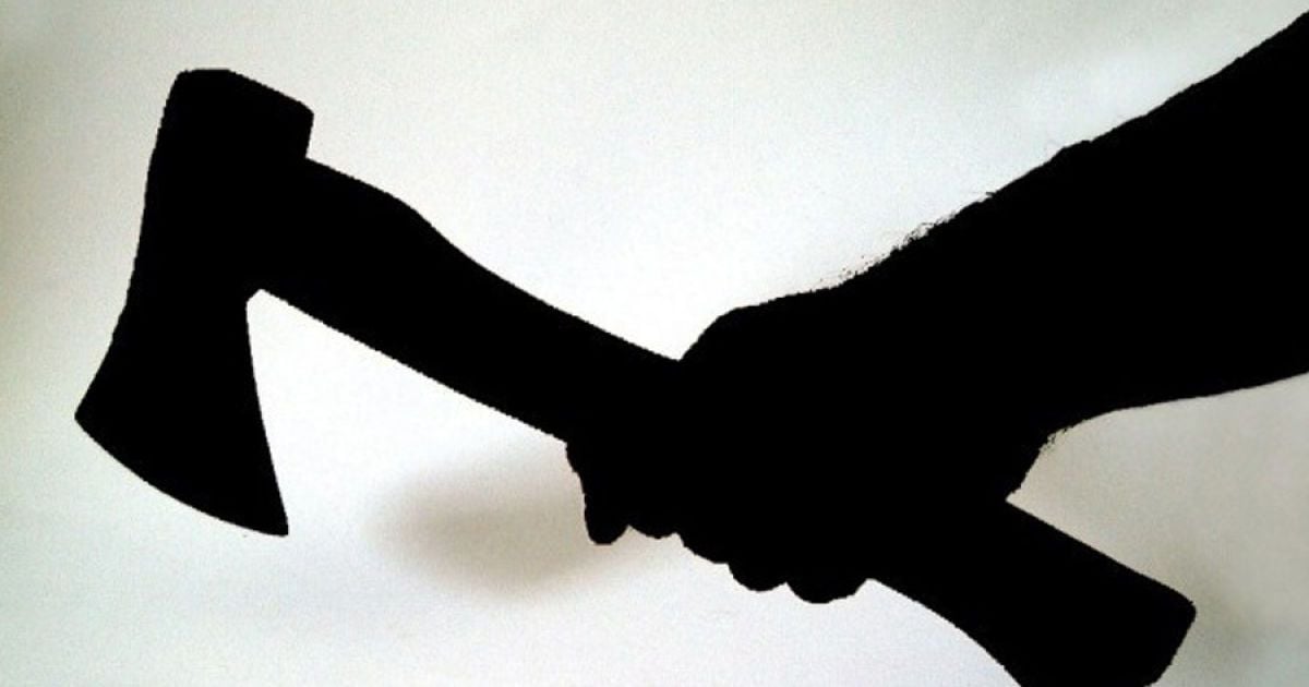Фото до матеріалу: Чоловік напав на військового ТЦК сокирою у Стрию: суд звільнив від в'язниці