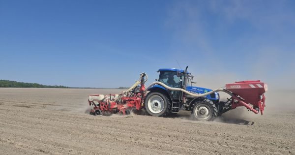 Фото до матеріалу: HarvEast завершив посівну за 25 днів: вперше в Україні посіяли цукровий буряк
