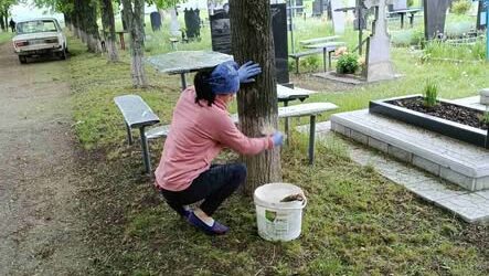 Фото до матеріалу: У Тальнівській громаді тривають роботи з благоустрою: охайні вулиці та доглянуті пам'ятники
