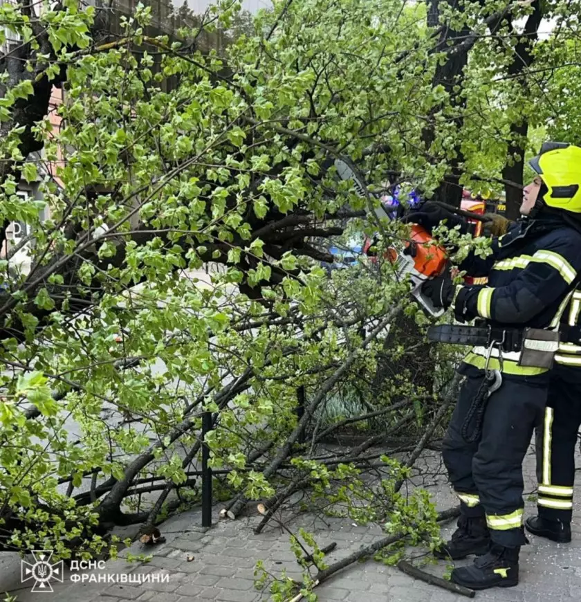 Фото до матеріалу: Сильний вітер на Прикарпатті: рятувальники прибирають повалені дерева в Івано-Франківську та навколишніх селах