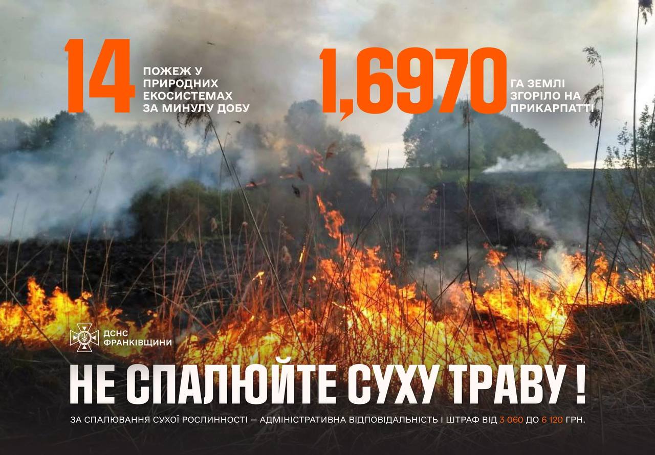 Фото до матеріалу: На Прикарпатті за добу ліквідували 18 пожеж: горіло лісництво на Калущині