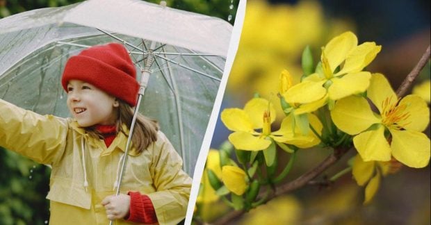 Фото до матеріалу: Що відзначають 7 травня 2026 року: свято Івано-Франківська, церковні традиції та народні прикмети