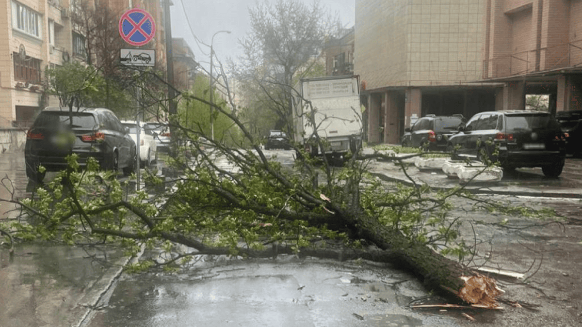Фото до матеріалу: Куди поїхати з дітьми влітку: готелі з басейнами та анімацією на Київщині