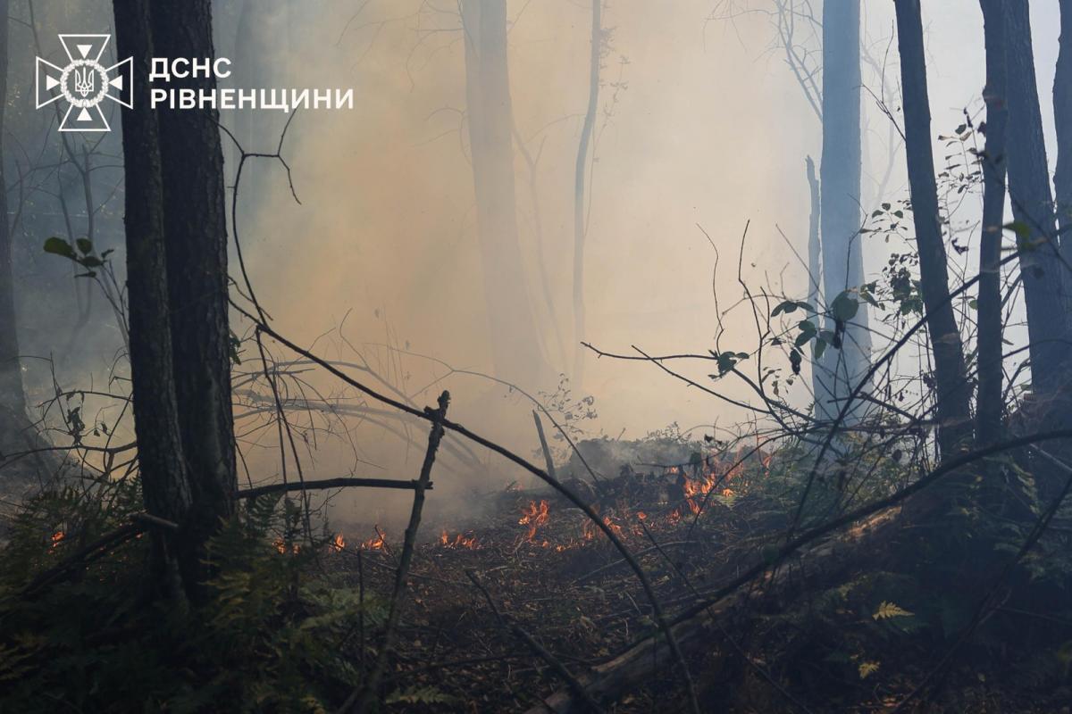 Фото до матеріалу: На Сарненщині локалізували масштабну пожежу біля Більська: охоплено 90 гектарів