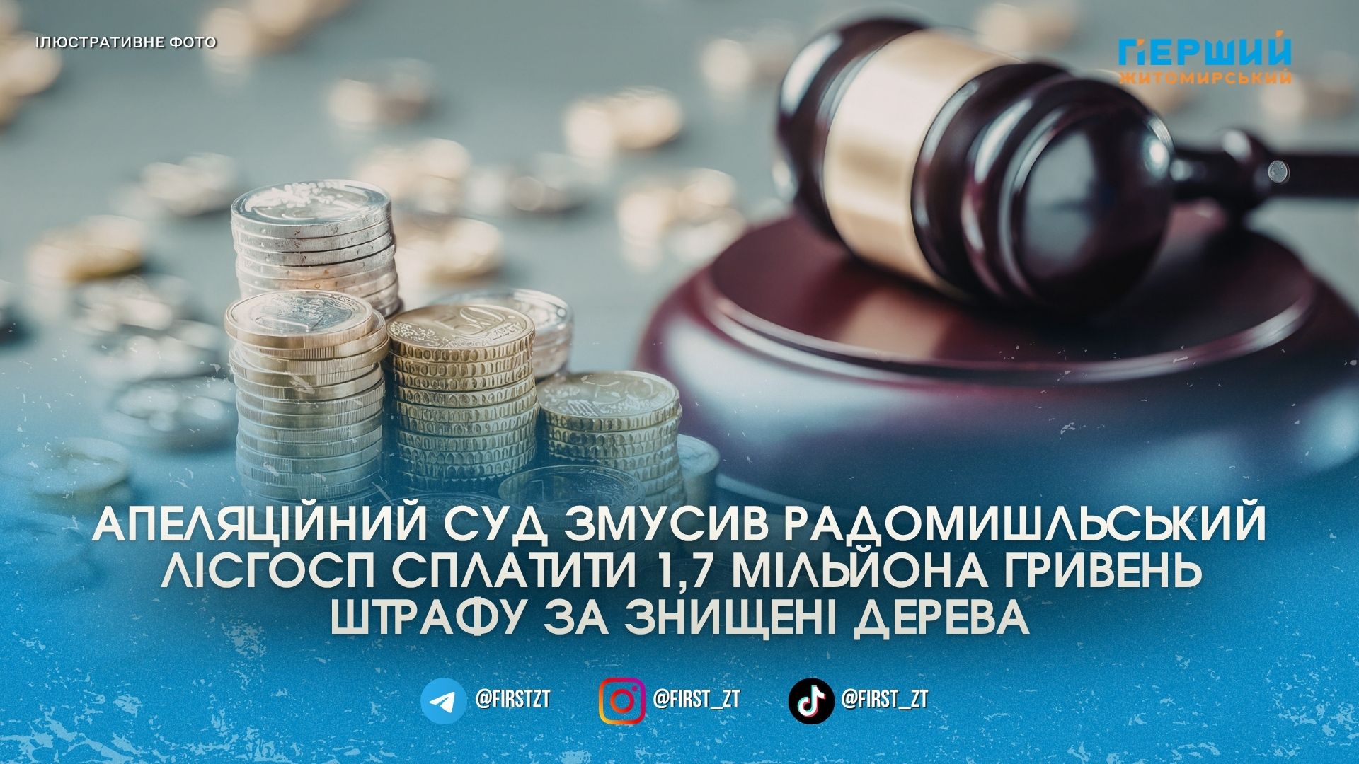 Фото до матеріалу: Радомишльський лісгосп сплатив 1,7 мільйона гривень за незаконну вирубку в Забілоцькому лісництві