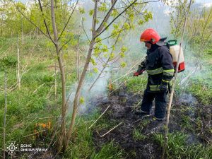 Фото до матеріалу: 12 пожеж за добу на Вінниччині: горіли будинки, шини та трава