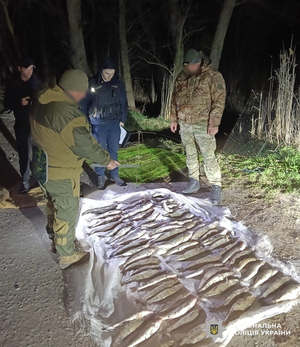 Фото до матеріалу: Браконьєр у Олександрівському районі завдав збитків на 200 тисяч гривень