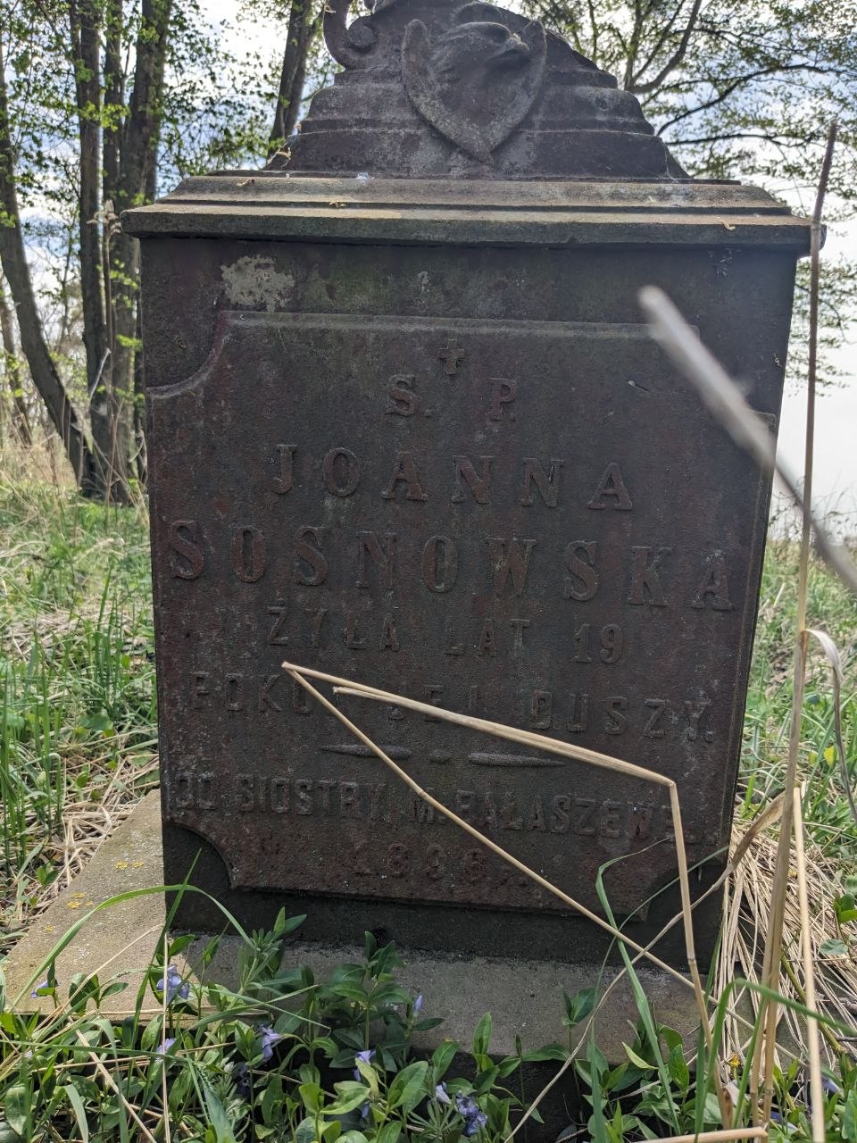 Фото до матеріалу: Бендюга: село, зникне в пісках Полісся