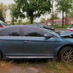 Фото до матеріалу: У Кам'янському відбудувалися змагання з боксу на честь полеглих захисників