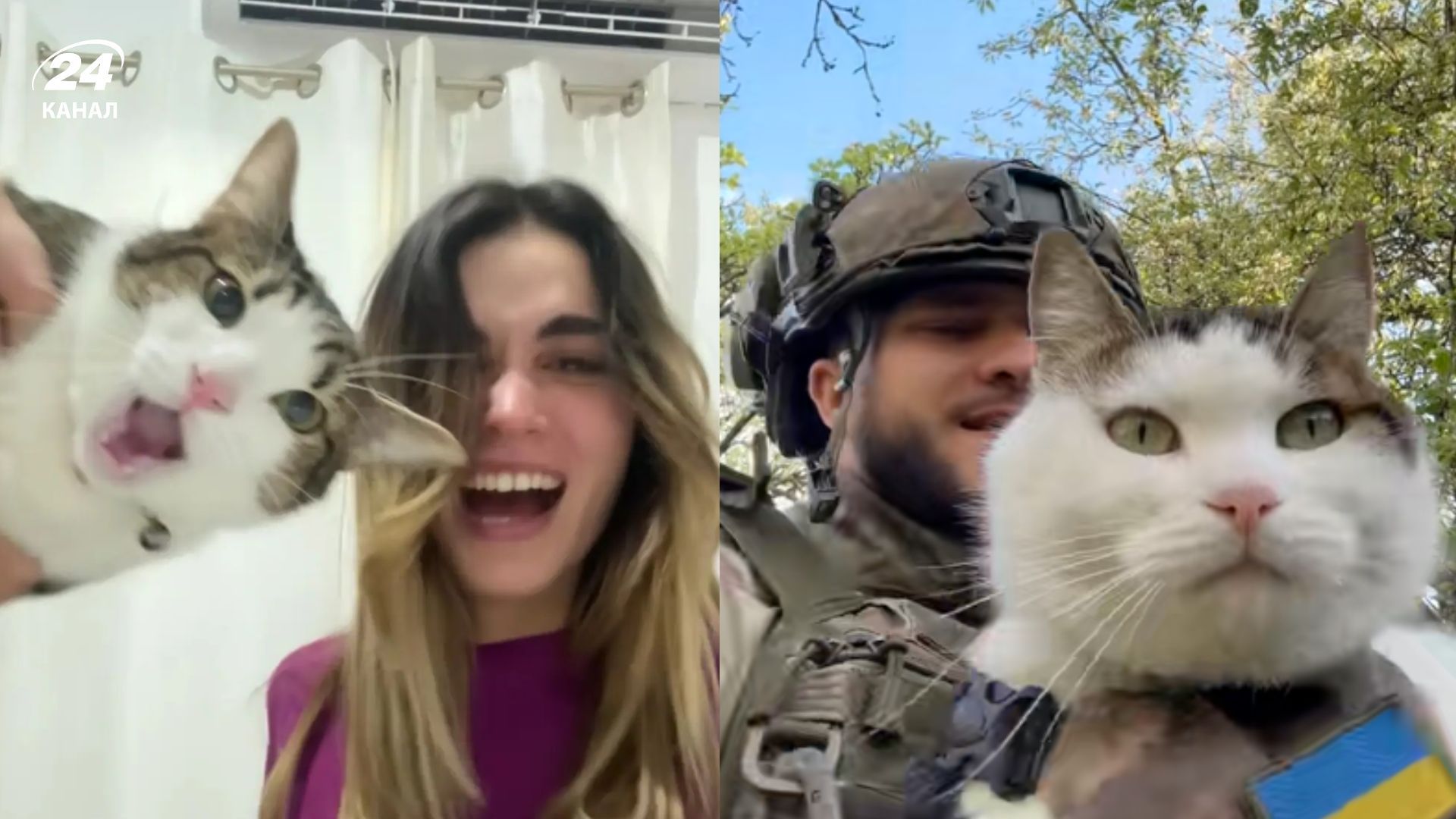 Фото до матеріалу: Вірусний тренд з котиками в TikTok: як українські військові та їхні улюбленці стали зірками мережі