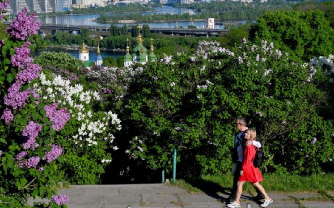 Фото до матеріалу: Мільйони квітів і величезні черги: як цвітіння бузку переповнило ботанічний сад Києва