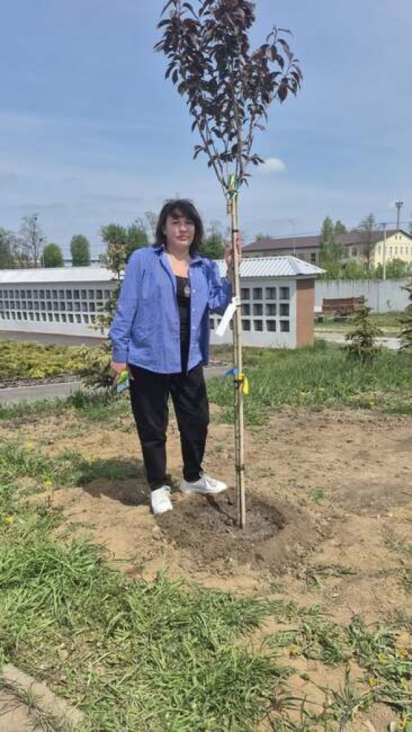 Фото до матеріалу: Матері загиблих захисників створили алею сакур на Сабарівському кладовищі