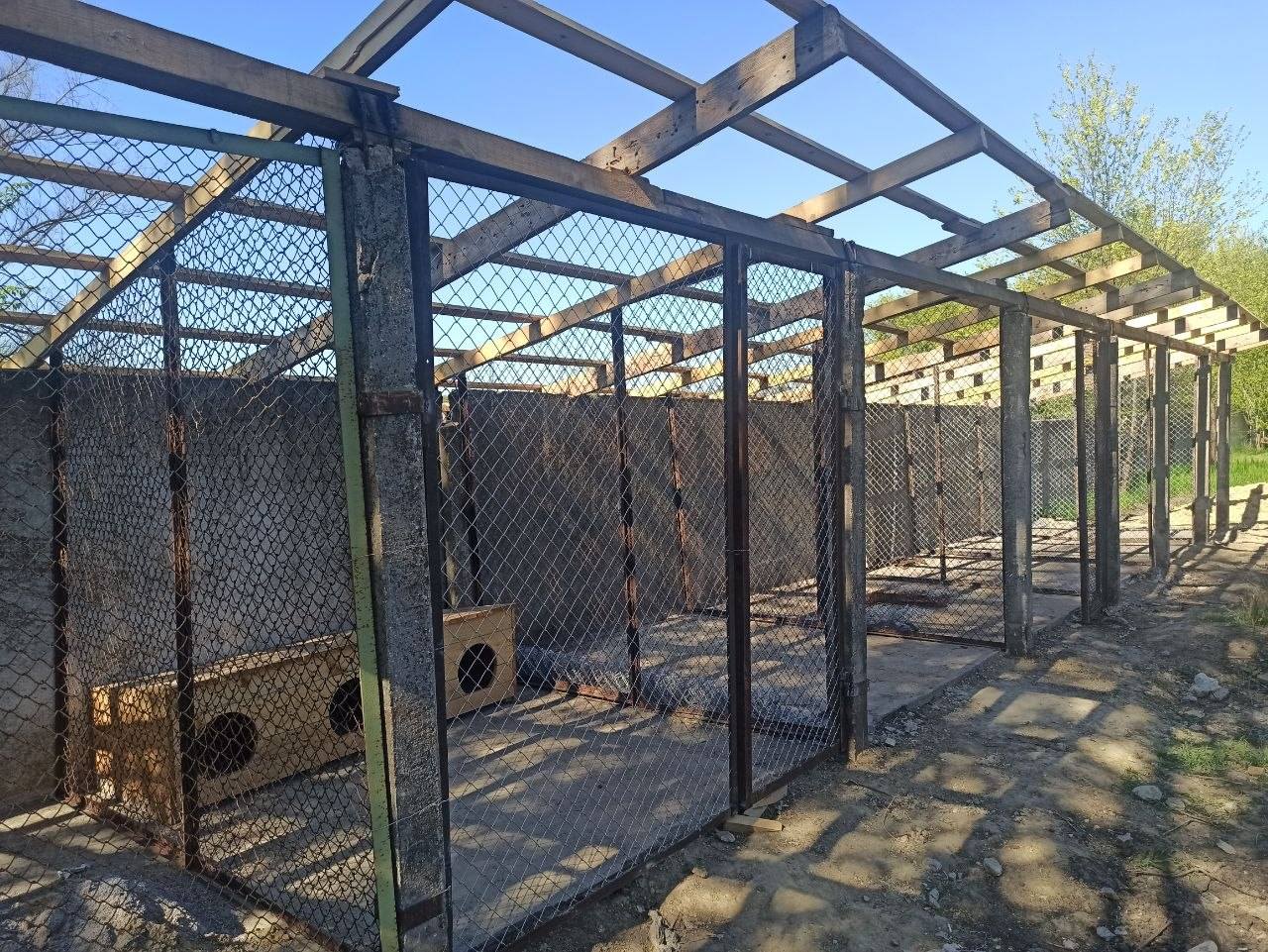 Фото до матеріалу: В Арцизькій громаді збудували притулок для бездомних тварин