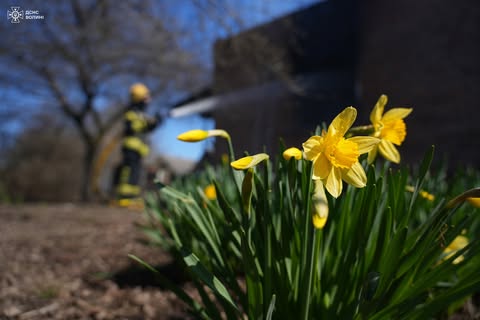 Фото до матеріалу: Швидка реакція рятувальників: пожежа в селі Лаврів Луцького району не завдала шкоди людям